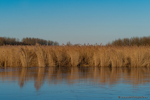 Zoutkamp januari 2022-069