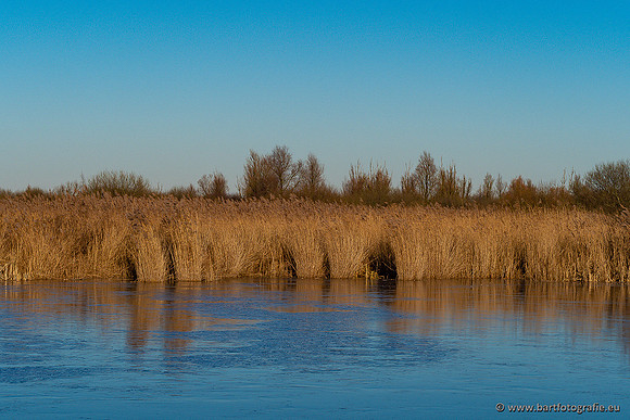 Zoutkamp januari 2022-070