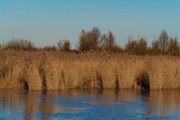 Zoutkamp januari 2022-071