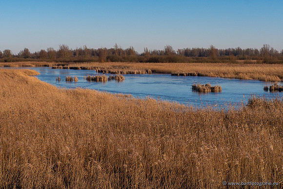 Zoutkamp januari 2022-054