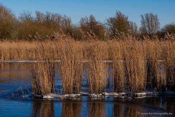 Zoutkamp januari 2022-067