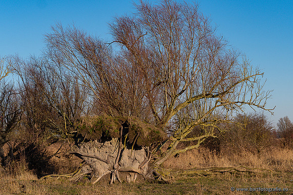 Zoutkamp januari 2022-072