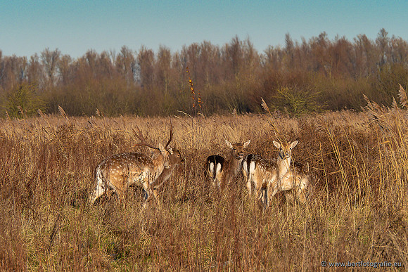 Zoutkamp januari 2022-074