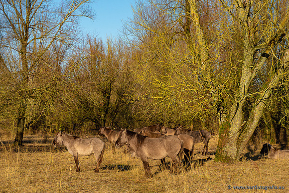 Zoutkamp januari 2022-078