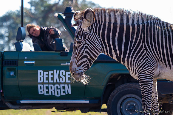 Dierentuinen en Parken Bart Fotografie-401