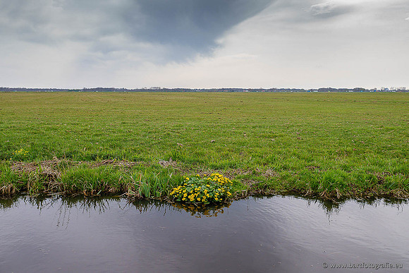 Akker en Weide Bart Fotografie-130