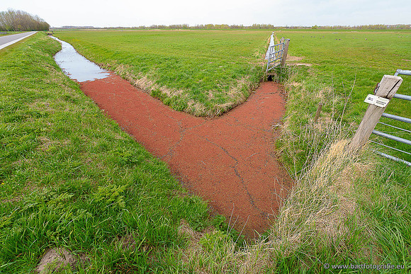 Akker en Weide Bart Fotografie-131