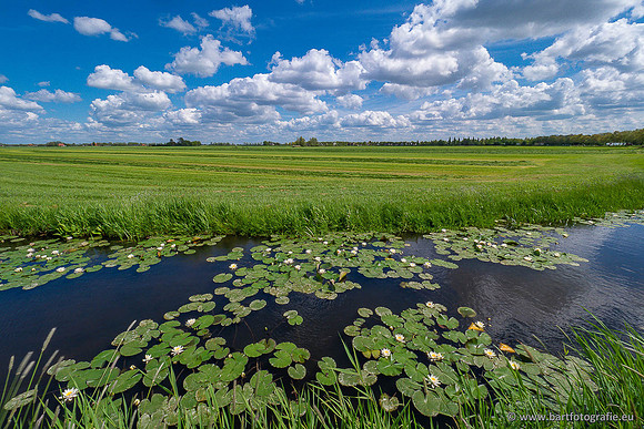 Akker en Weide Bart Fotografie-132