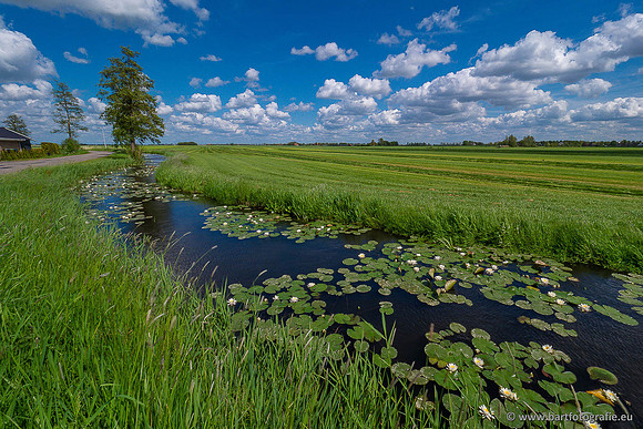 Akker en Weide Bart Fotografie-133
