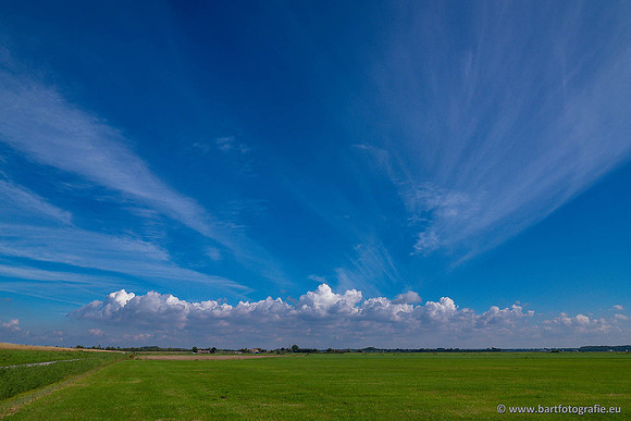 Akker en Weide Bart Fotografie-136