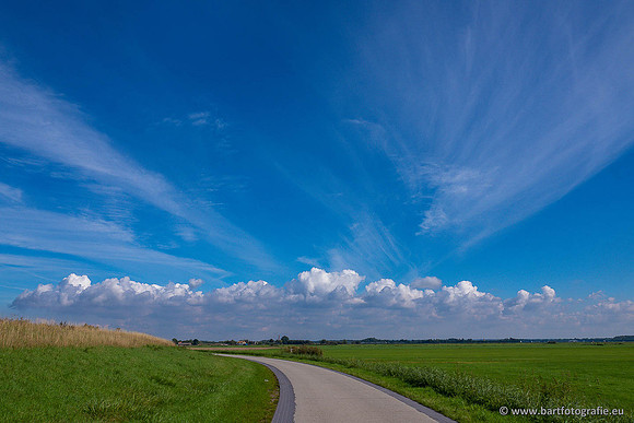 Akker en Weide Bart Fotografie-137