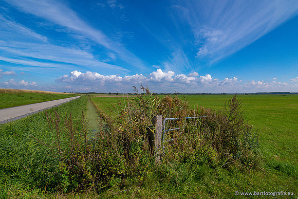 Akker en Weide Bart Fotografie-138