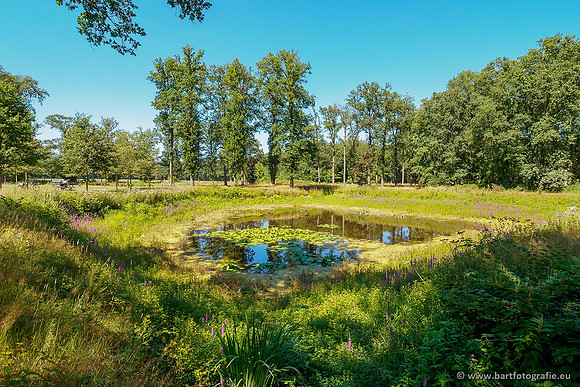 Achterhoek augustus 2020 Bart Fotografie-012