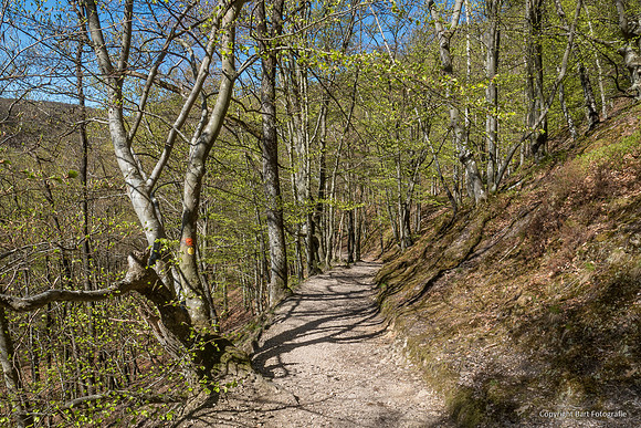 Zweden voorjaar 2026-030