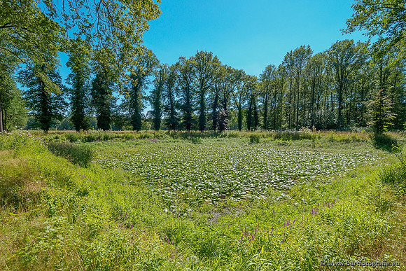 Achterhoek augustus 2020 Bart Fotografie-010