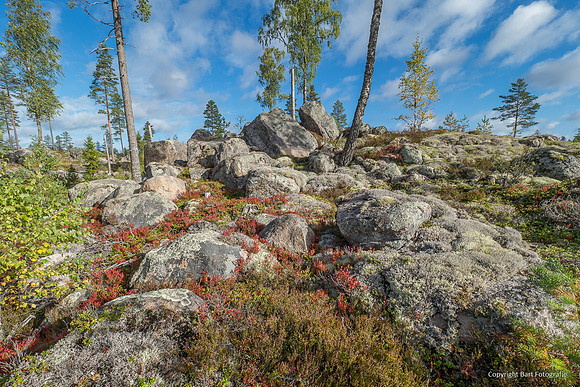 Zweden, herfst 2026-002