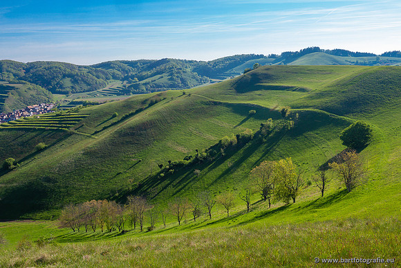 Kaiserstuhl, Duitsland, mei 2023, Bart Fotografie-044
