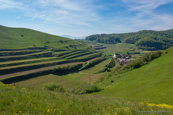 Kaiserstuhl, Duitsland, mei 2023, Bart Fotografie-041