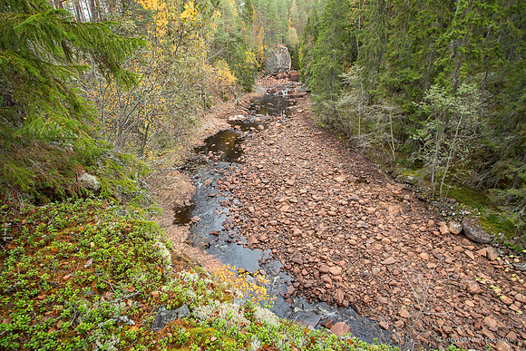 Zweden, herfst 2026-012