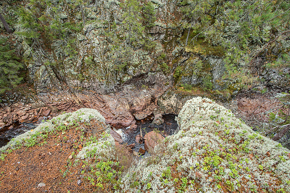 Zweden, herfst 2026-014