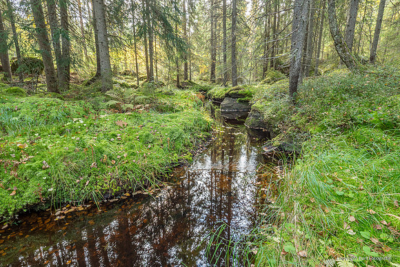 Zweden, herfst 2026-052
