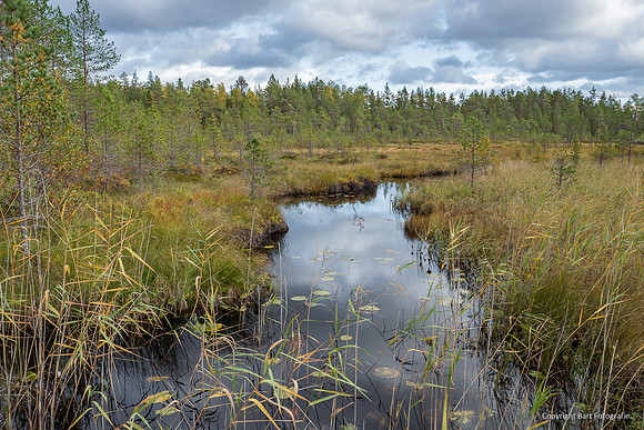 Zweden, herfst 2026-011
