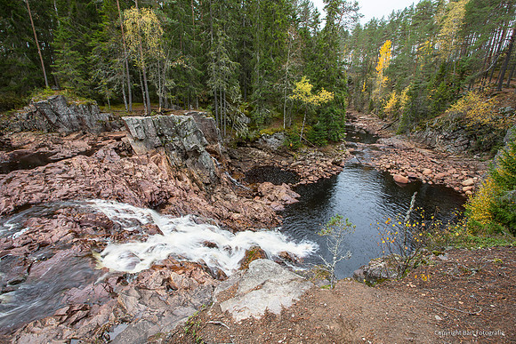Zweden, herfst 2026-021
