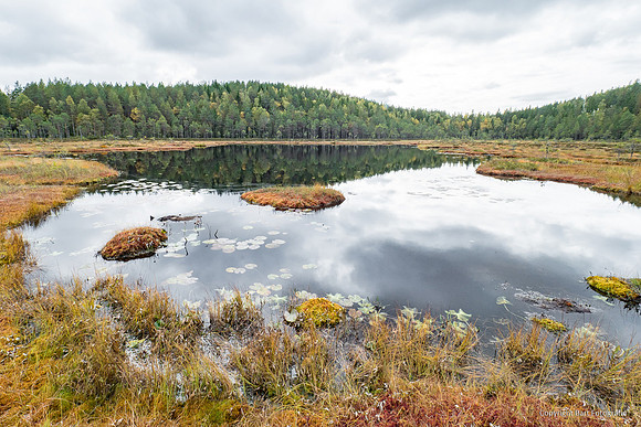 Zweden, herfst 2026-008
