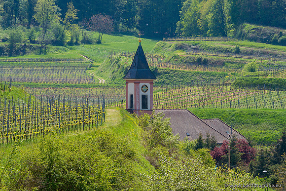 Kaiserstuhl, Duitsland, mei 2023, Bart Fotografie-028