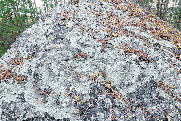 Zweden, herfst 2026-079