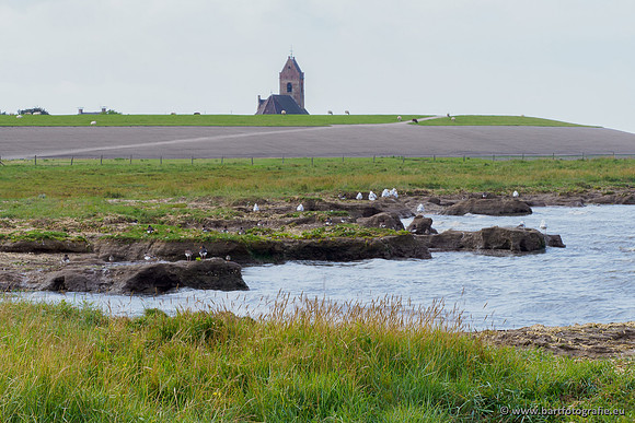 Friesland september 2020 Bart Fotografie-015