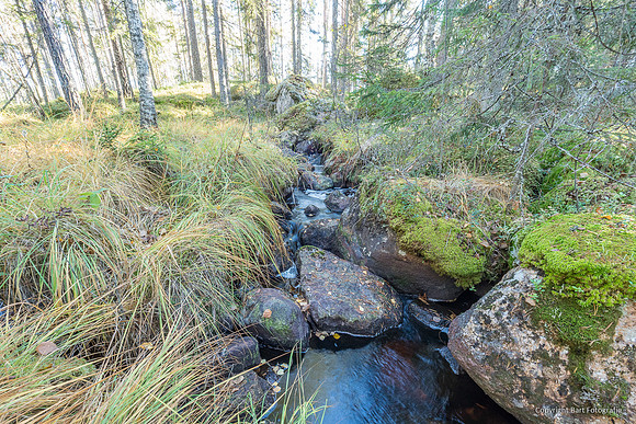 Zweden, herfst 2026-049