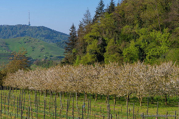 Kaiserstuhl, Duitsland, mei 2023, Bart Fotografie-036