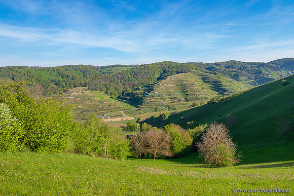Kaiserstuhl, Duitsland, mei 2023, Bart Fotografie-042