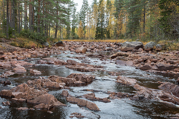 Zweden, herfst 2026-027