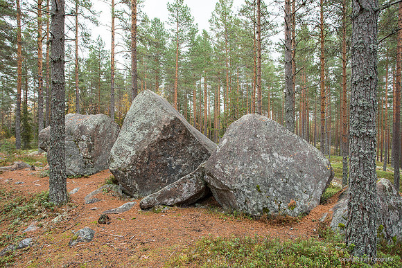 Zweden, herfst 2026-067