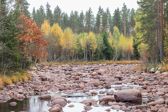 Zweden, herfst 2026-044