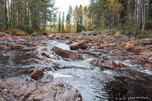 Zweden, herfst 2026-028