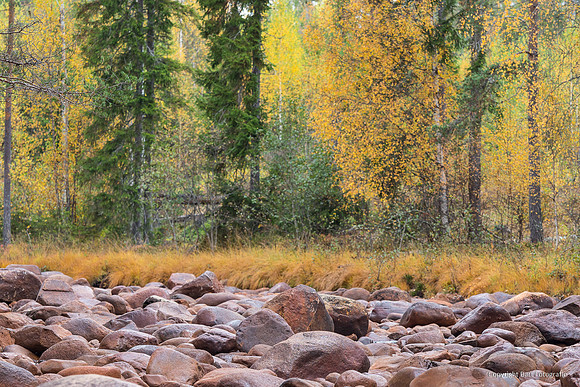 Zweden, herfst 2026-033