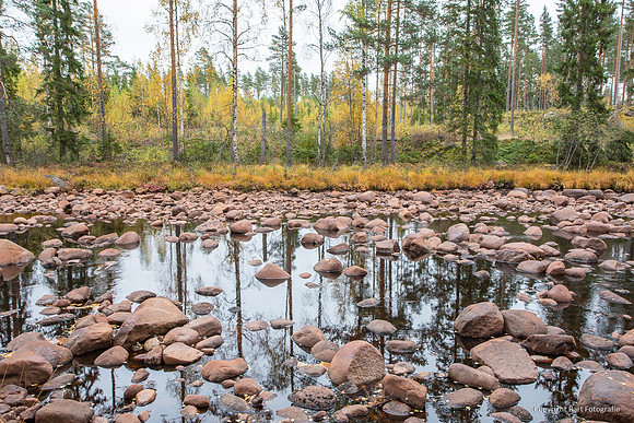 Zweden, herfst 2026-036