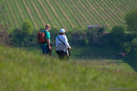 Kaiserstuhl, Duitsland, mei 2023, Bart Fotografie-051