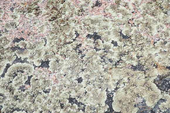 Zweden, herfst 2026-081