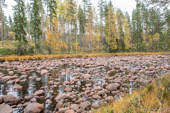 Zweden, herfst 2026-037