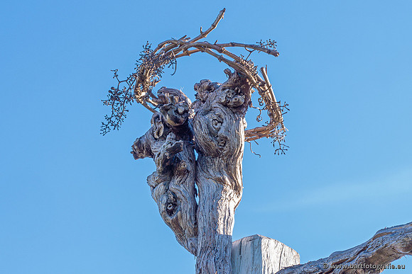 Kaiserstuhl, Duitsland, mei 2023, Bart Fotografie-020