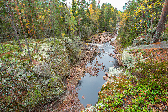 Zweden, herfst 2026-017