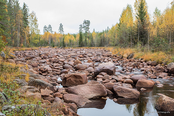 Zweden, herfst 2026-038