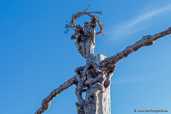 Kaiserstuhl, Duitsland, mei 2023, Bart Fotografie-019