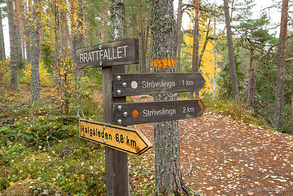 Zweden, herfst 2026-001
