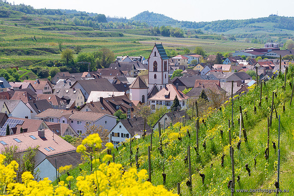 Kaiserstuhl, Duitsland, mei 2023, Bart Fotografie-026