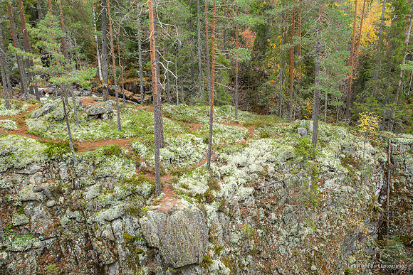 Zweden, herfst 2026-015